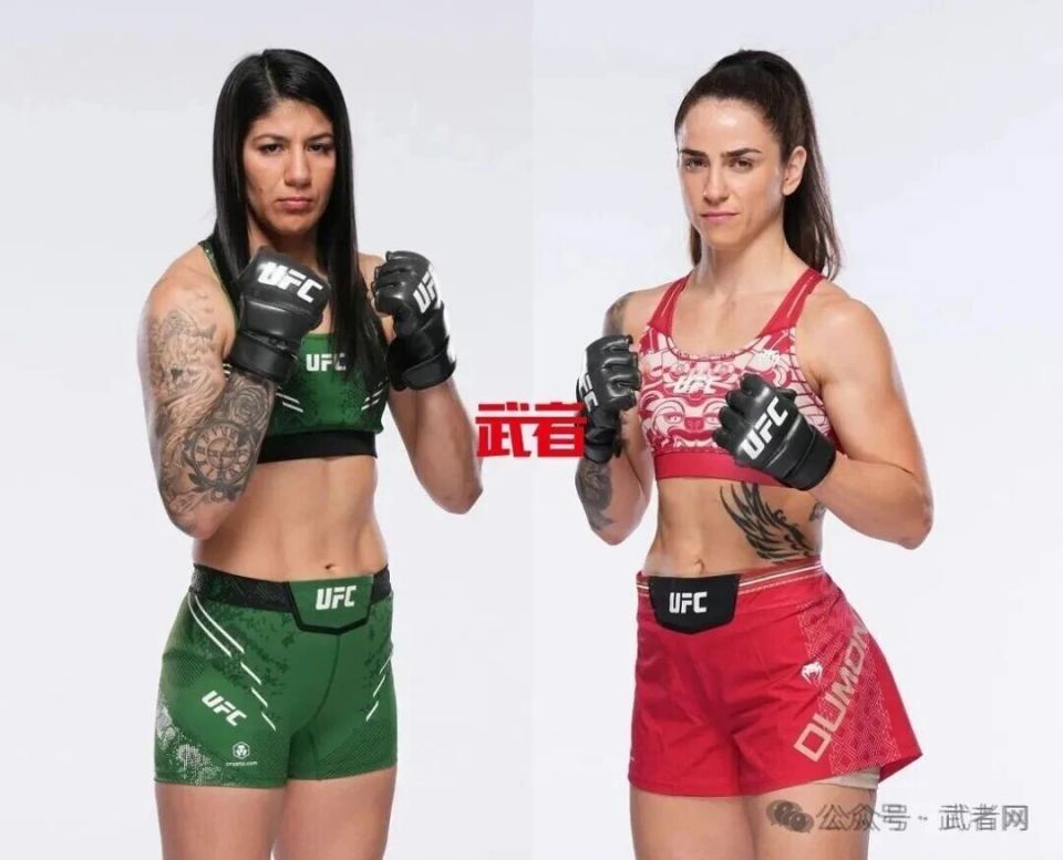 加西亚目前, 尔多, Corte